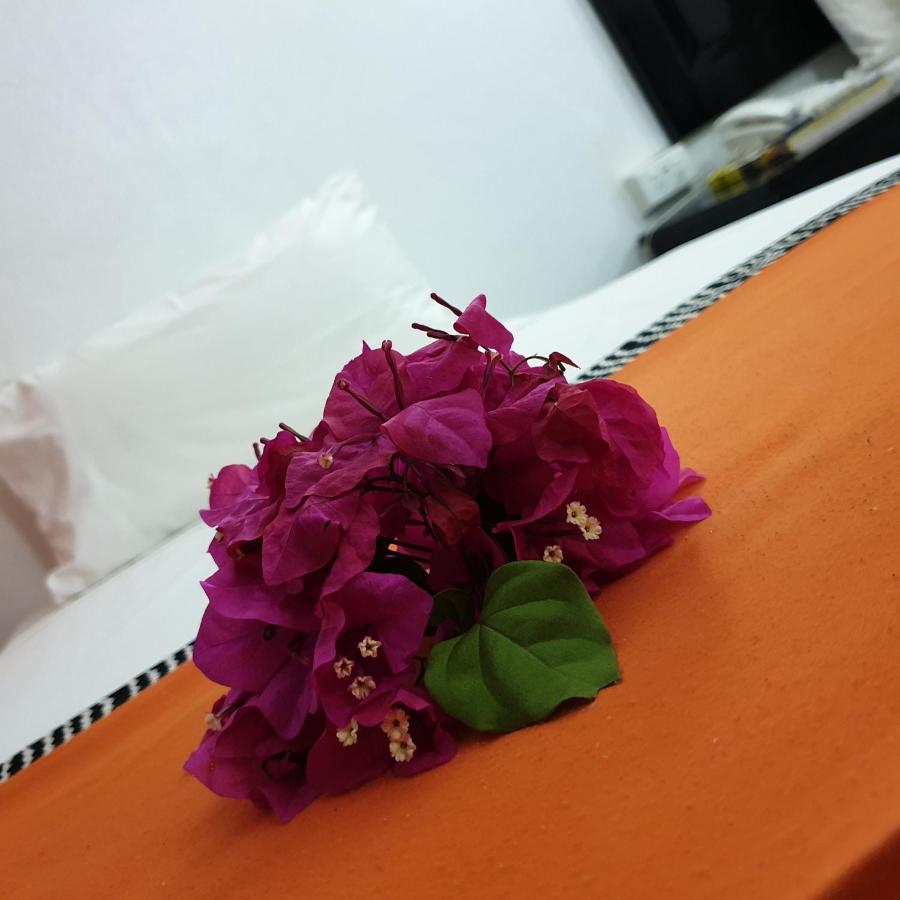 Suva Motor Inn Ngoại thất bức ảnh